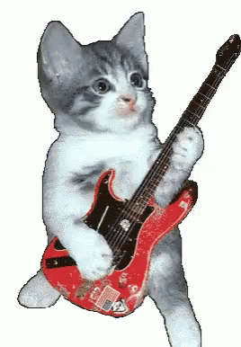 guitar-cat.gif
